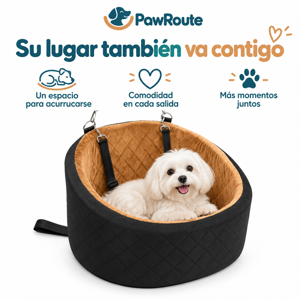 PawRoute — Un espacio para acurrucarse