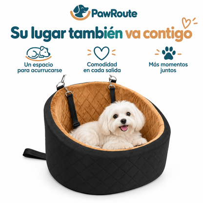 PawRoute — Un espacio para acurrucarse