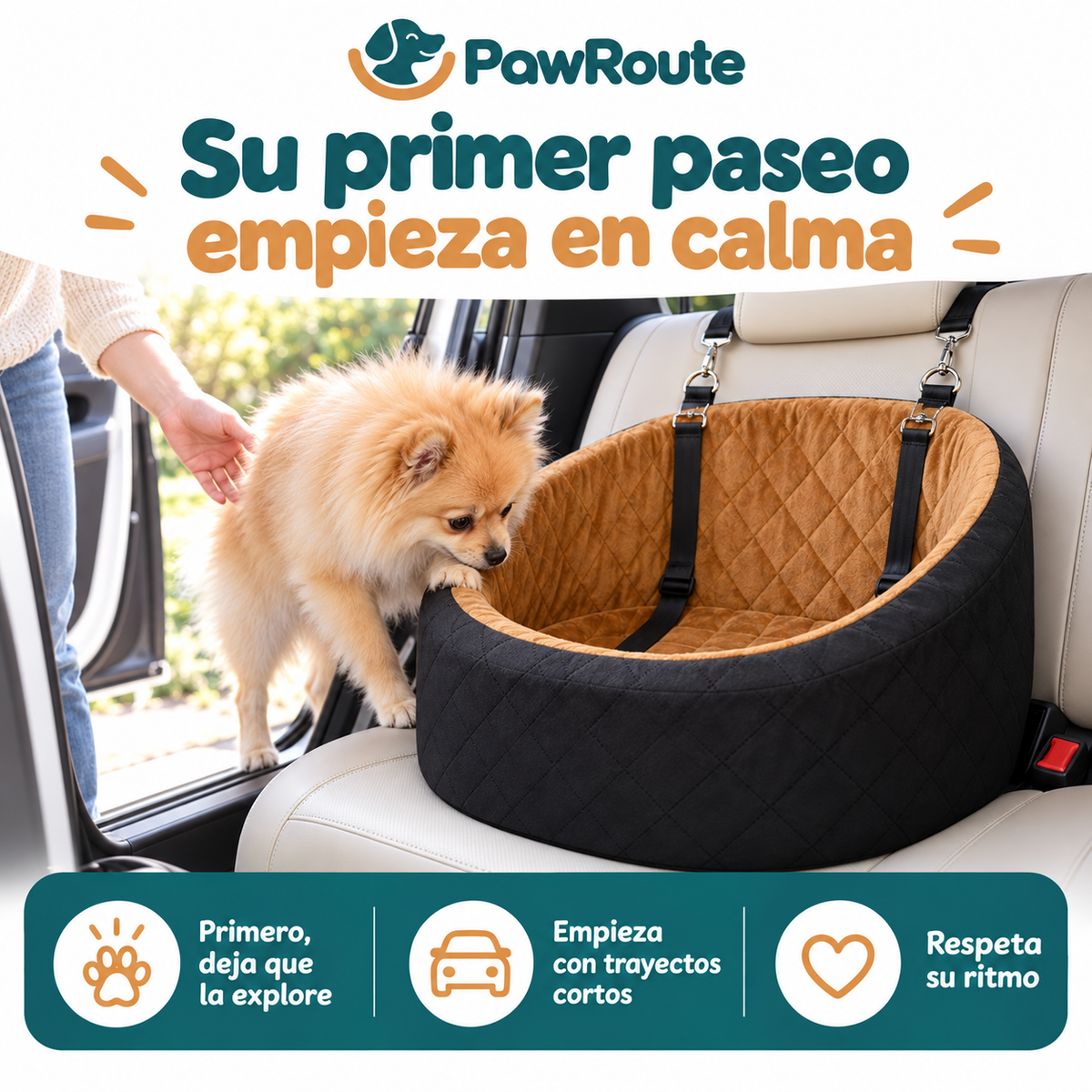 PawRoute — Primeros paseos y adaptación