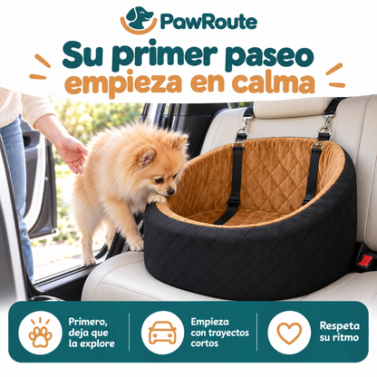 PawRoute — Primeros paseos y adaptación