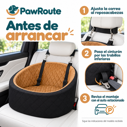 PawRoute — Montaje en el auto